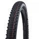 Покришка 29" SCHWALBE RACING RALPH 29x2.35 (60-622) SnakeSkin, Evolution TLE B/B-SK HS490 ADDIX Speed, 67EPI TIR-52-90 фото