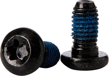 Болти кріплення ротора SRAM Rotor Bolts T25, Steel (Qty 24) 11.5015.069.330 фото