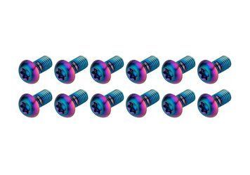 Болти кріплення ротора SRAM Titanium T25, Rainbow Bolts (Qty 12) 00.5318.027.000 фото